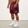 Vanquish Bodybuilding Burgundy Mesh Shorts