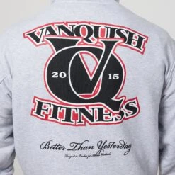 Vanquish TSP Light Grey VQ Interlock Oversized Pullover Hoodie -Vanquish Fitness Sales VQFit E commerceFeb2499885