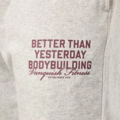 Vanquish Bodybuilding Oat Marl Oversized Sweatpants -Vanquish Fitness Sales VQFit MensSSE commerce6646 1