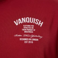 Vanquish TSP Pursuit Burgundy Oversized T Shirt -Vanquish Fitness Sales WB Summer Sale websize45 f65ffbeb 84b4 4421 ae42 216e529a0344