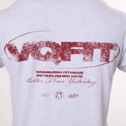 Vanquish TSP VQFIT Revolve Oversized Grey T Shirt -Vanquish Fitness Sales WB Summer Sale websize61