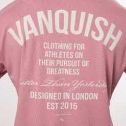 Vanquish TSP Pursuit Dusty Pink Oversized T Shirt -Vanquish Fitness Sales WB Summer Sale websize68 df78ffd2 8e34 4e40 be6f 99d49202d1a0